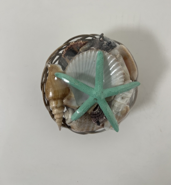 AKVARYUM DENİZ KABUĞU 2 NO